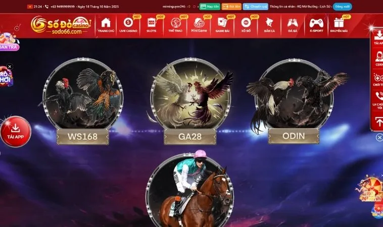 Đa dạng các sảnh đá gà hợp tác với nhà cái SODO