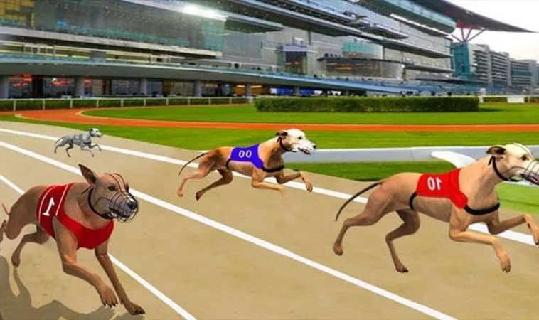Bí Quyết Chơi Đua Chó SODO Thắng Lớn Nhận Thưởng Siêu Tốc 2 Cách chơi game nhanh Đua Chó SODO